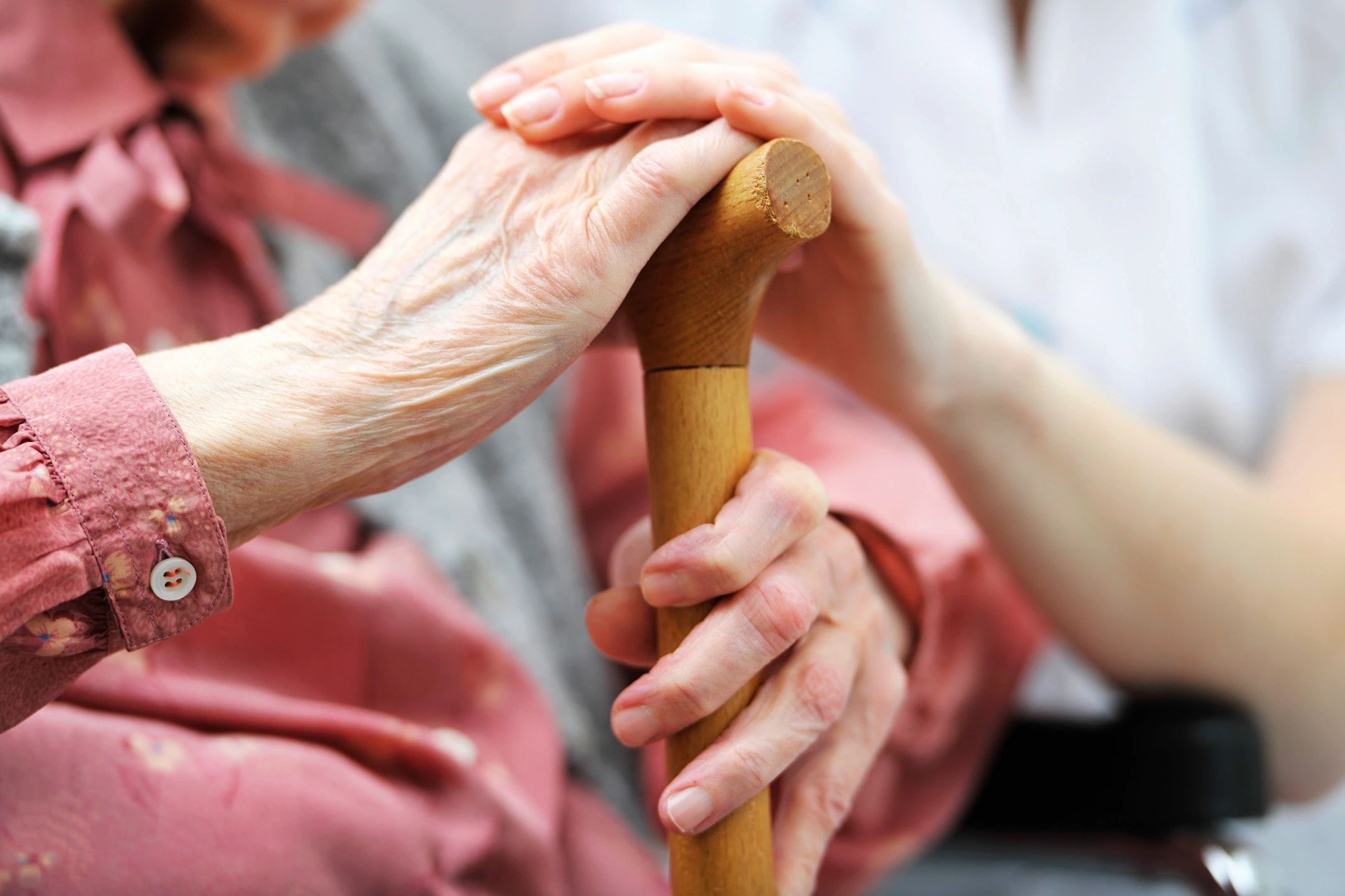 What is the Elder Relief Act and Wy is it So Important?