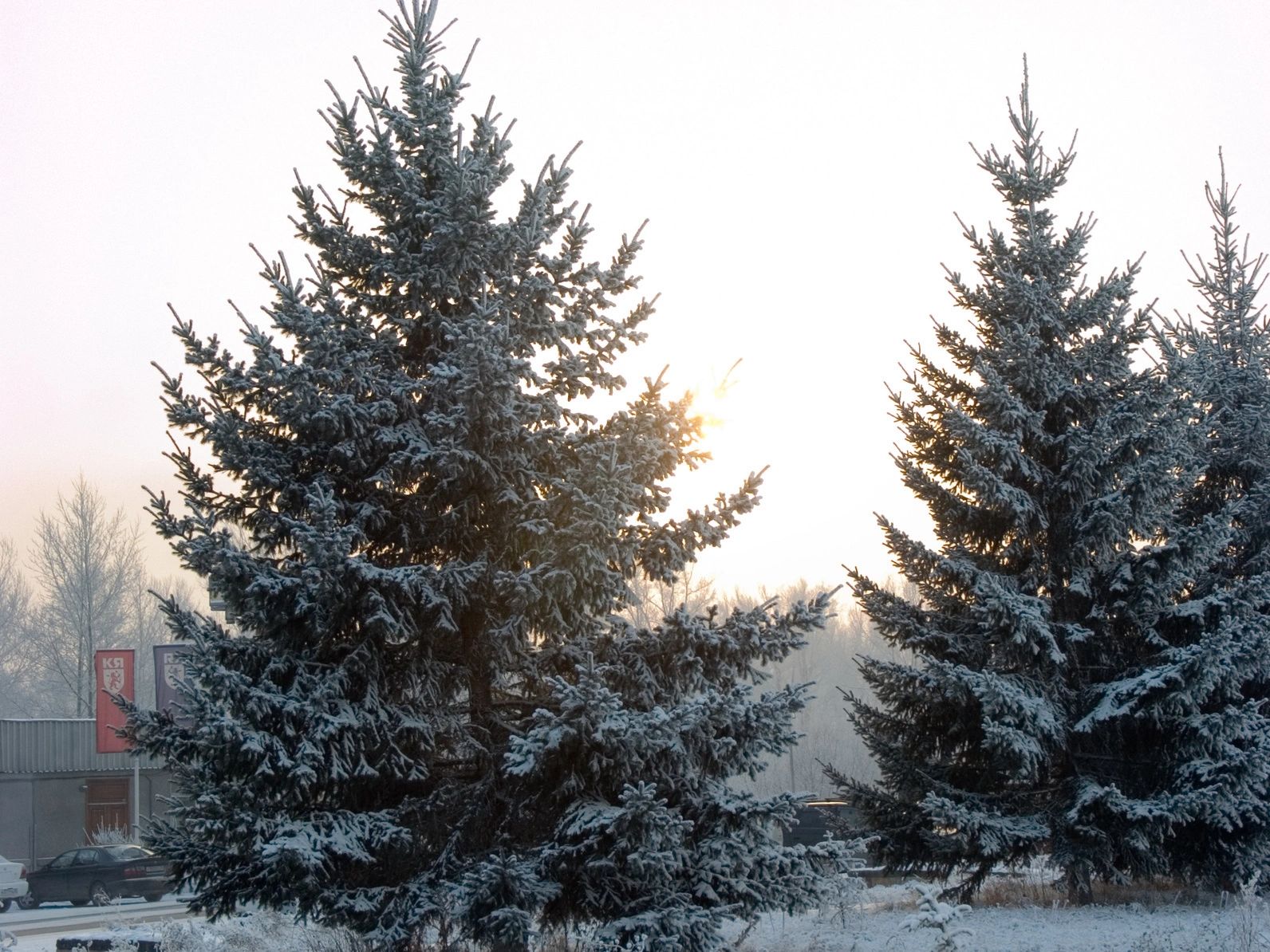 Short Days and Cold Nights Can Be Challenging for Seniors