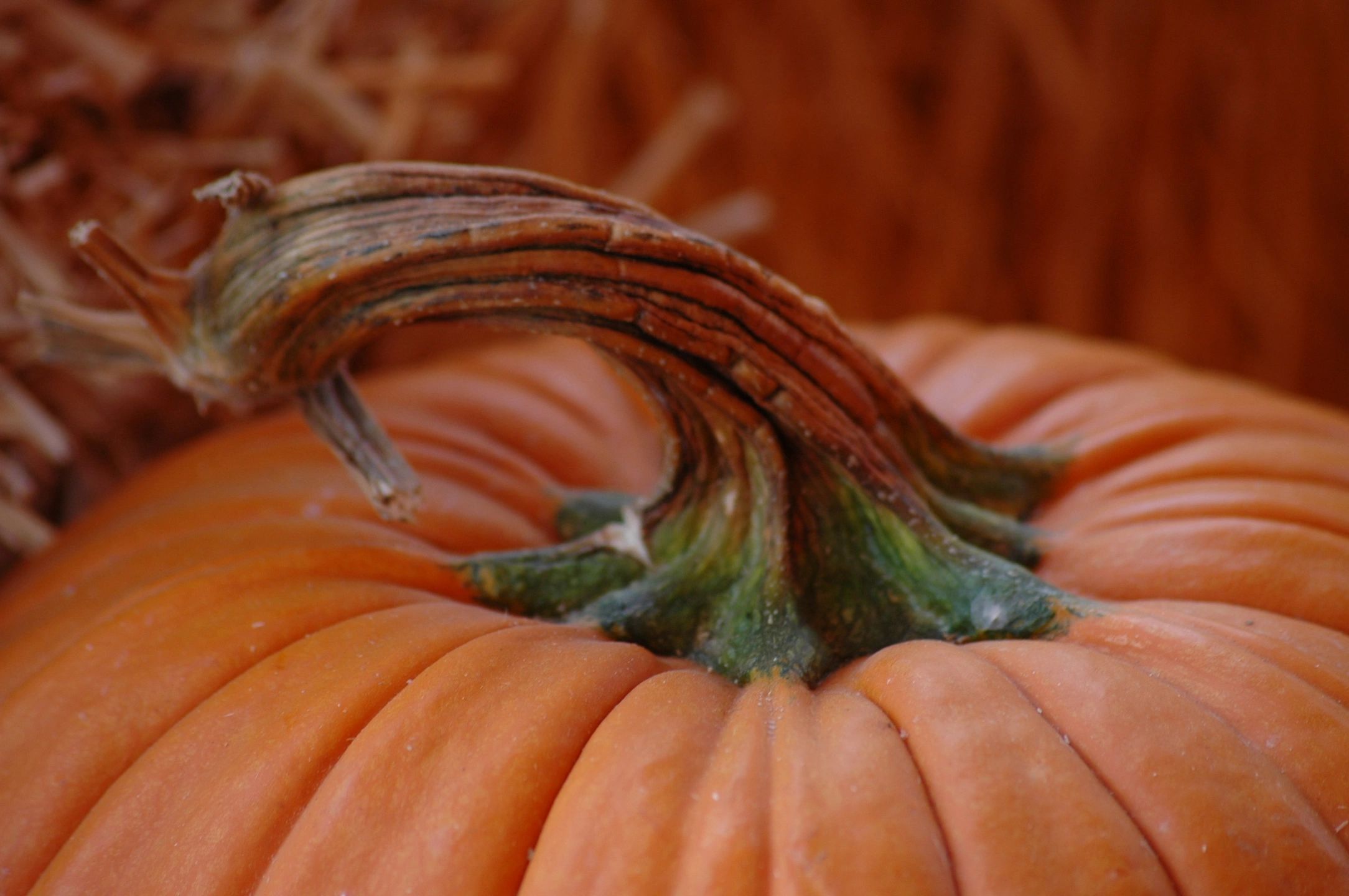 Forget Tricks and Treats, Living on Social Security is Really Scary